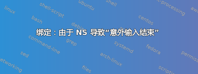 绑定：由于 NS 导致“意外输入结束”