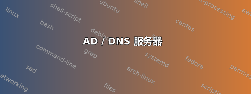 AD / DNS 服务器 