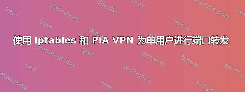 使用 iptables 和 PIA VPN 为单用户进行端口转发