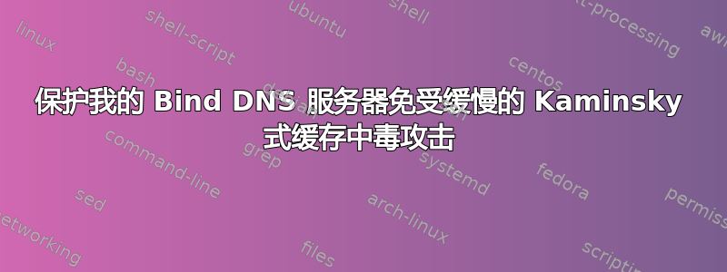 保护我的 Bind DNS 服务器免受缓慢的 Kaminsky 式缓存中毒攻击