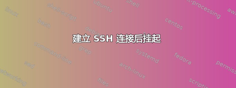 建立 SSH 连接后挂起