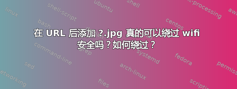 在 URL 后添加 ?.jpg 真的可以绕过 wifi 安全吗？如何绕过？