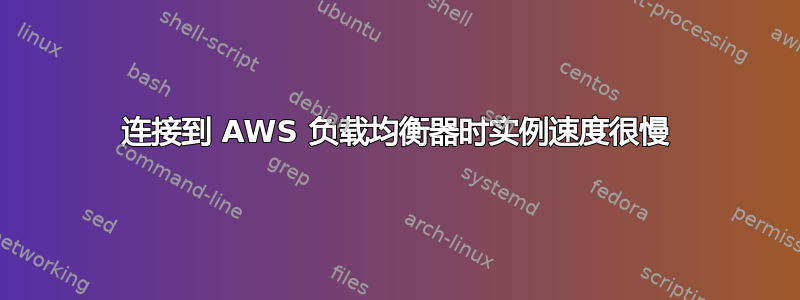 连接到 AWS 负载均衡器时实例速度很慢