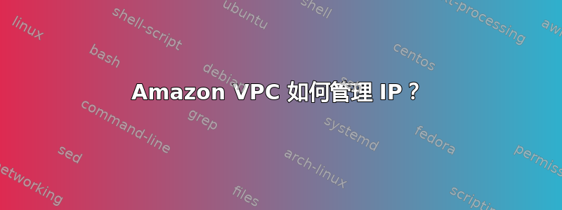 Amazon VPC 如何管理 IP？