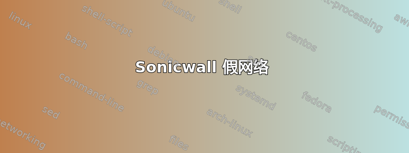 Sonicwall 假网络