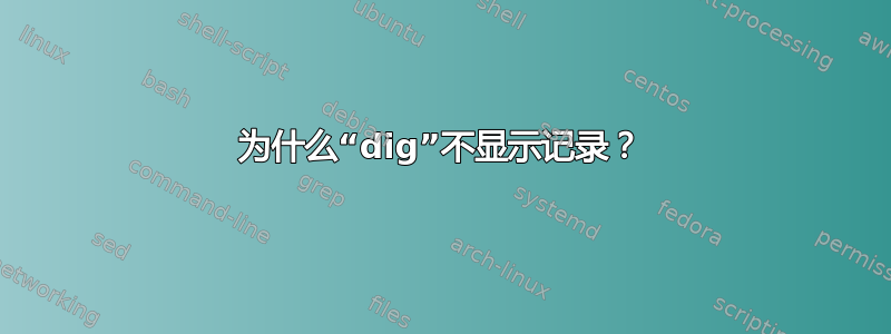 为什么“dig”不显示记录？