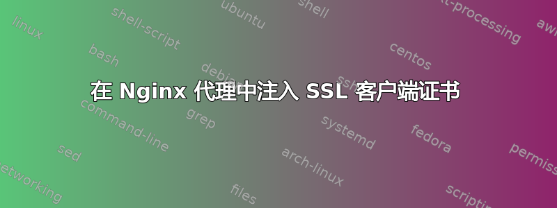 在 Nginx 代理中注入 SSL 客户端证书