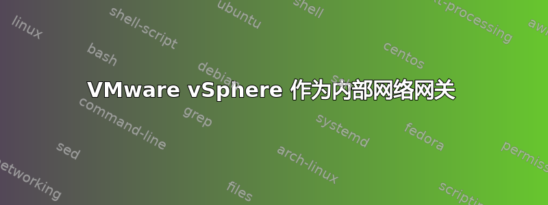 VMware vSphere 作为内部网络网关