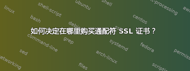 如何决定在哪里购买通配符 SSL 证书？