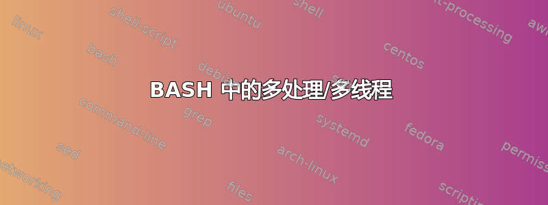 BASH 中的多处理/多线程