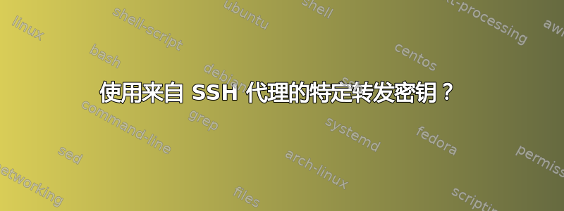 使用来自 SSH 代理的特定转发密钥？