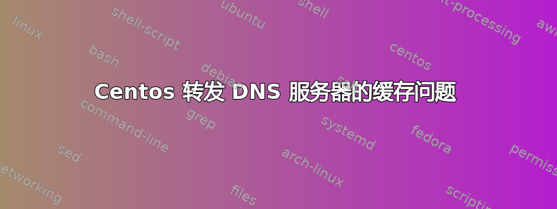 Centos 转发 DNS 服务器的缓存问题