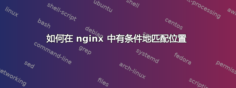 如何在 nginx 中有条件地匹配位置