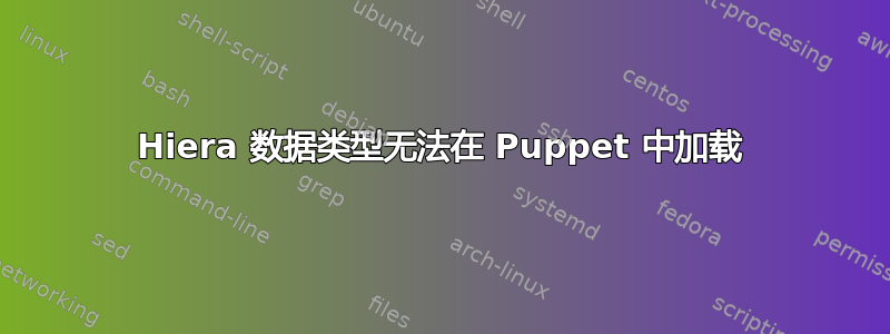 Hiera 数据类型无法在 Puppet 中加载