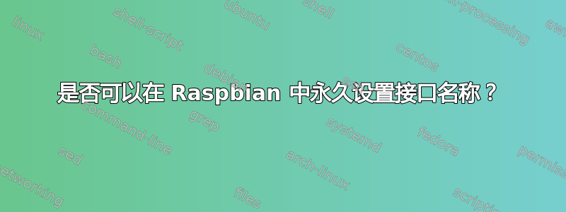 是否可以在 Raspbian 中永久设置接口名称？