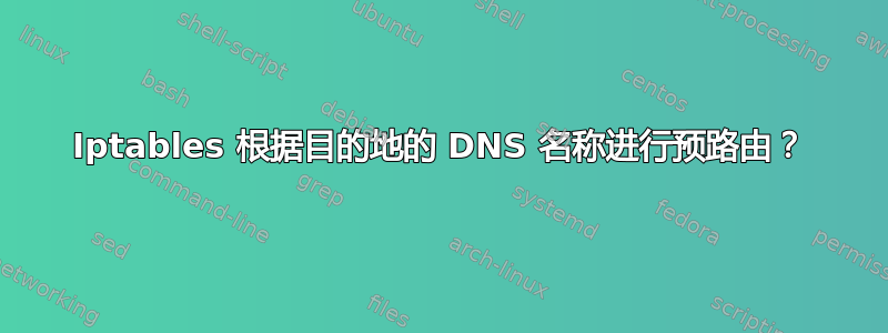 Iptables 根据目的地的 DNS 名称进行预路由？