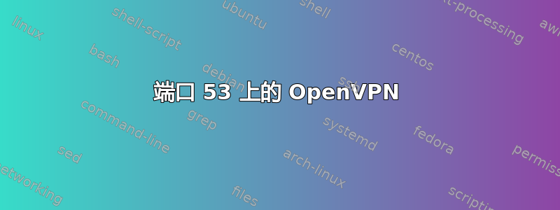 端口 53 上的 OpenVPN