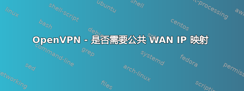 OpenVPN - 是否需要公共 WAN IP 映射