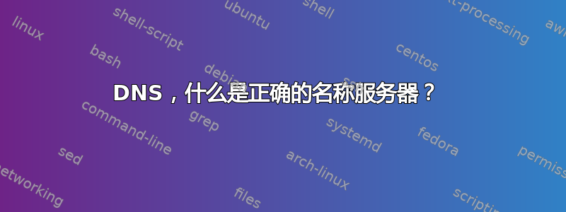 DNS，什么是正确的名称服务器？ 