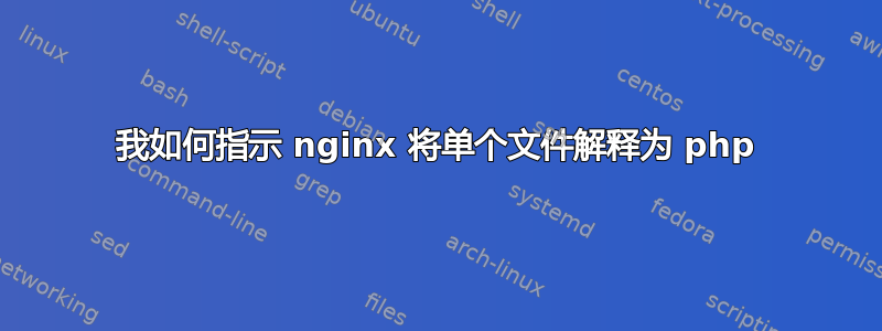 我如何指示 nginx 将单个文件解释为 php