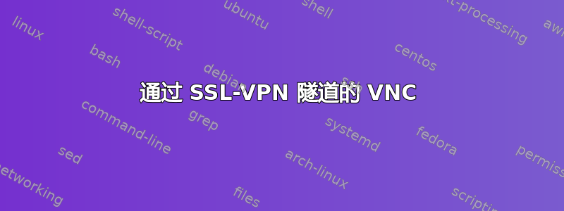 通过 SSL-VPN 隧道的 VNC