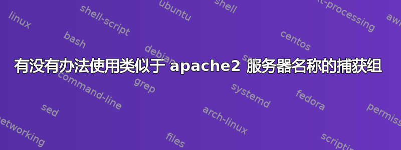 有没有办法使用类似于 apache2 服务器名称的捕获组