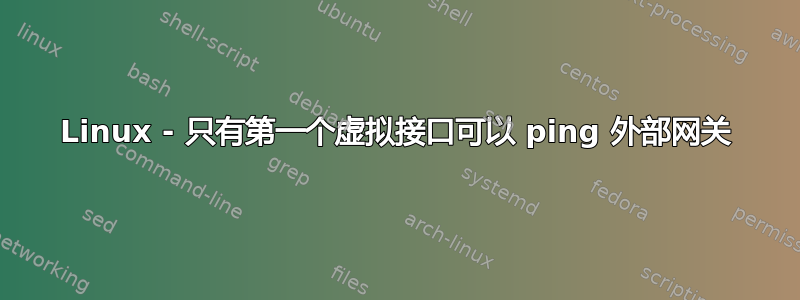 Linux - 只有第一个虚拟接口可以 ping 外部网关