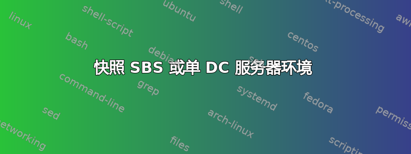 快照 SBS 或单 DC 服务器环境