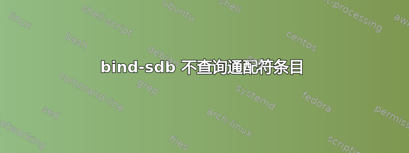 bind-sdb 不查询通配符条目