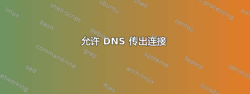 允许 DNS 传出连接