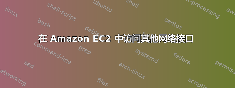 在 Amazon EC2 中访问其他网络接口