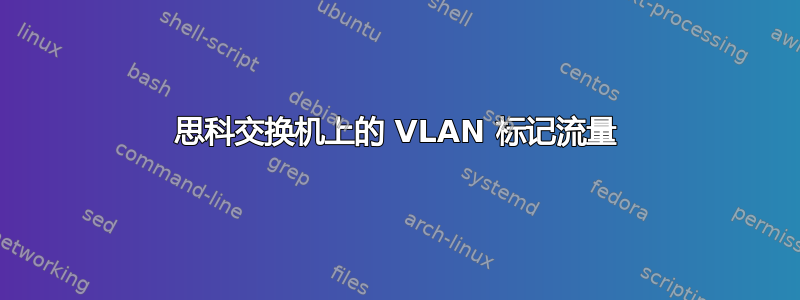 思科交换机上的 VLAN 标记流量