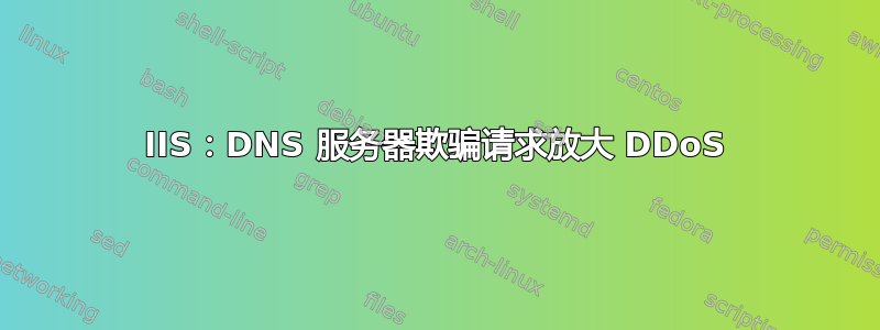 IIS：DNS 服务器欺骗请求放大 DDoS