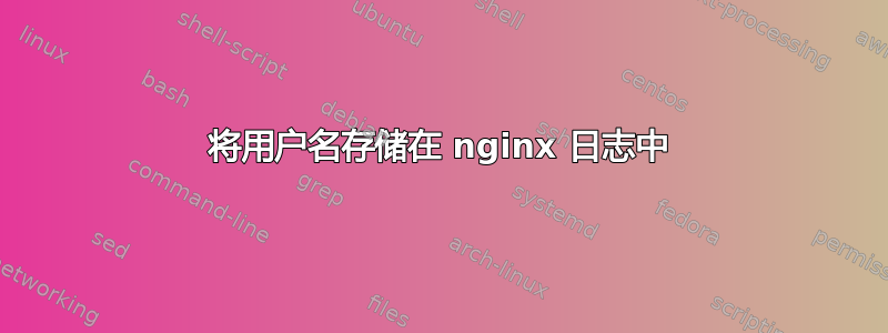 将用户名存储在 nginx 日志中