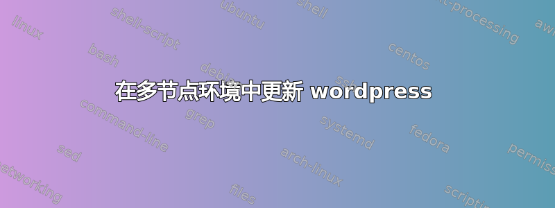 在多节点环境中更新 wordpress