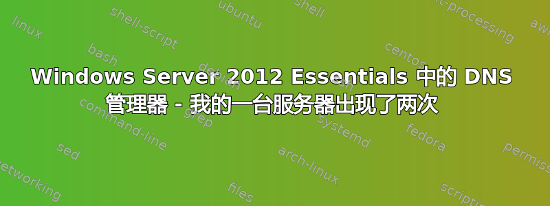 Windows Server 2012 Essentials 中的 DNS 管理器 - 我的一台服务器出现了两次