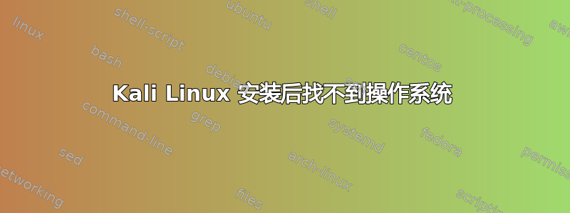 Kali Linux 安装后找不到操作系统