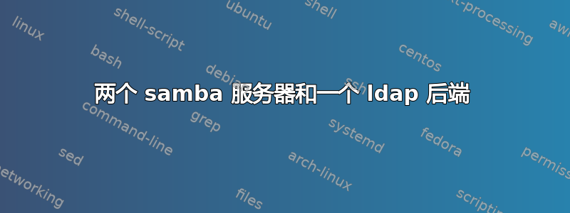 两个 samba 服务器和一个 ldap 后端