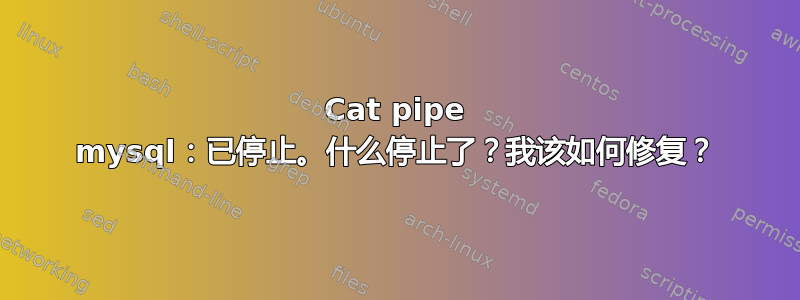 Cat pipe mysql：已停止。什么停止了？我该如何修复？