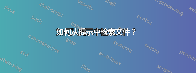 如何从提示中检索文件？