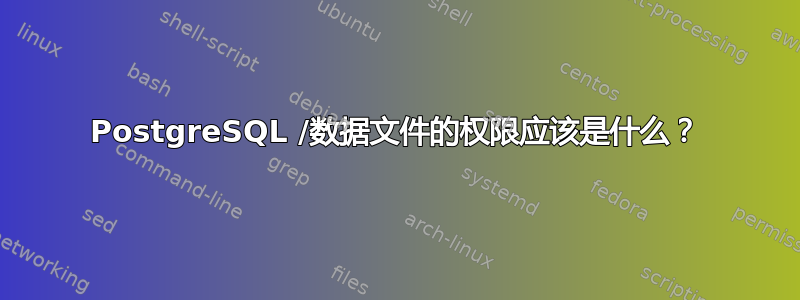 PostgreSQL /数据文件的权限应该是什么？