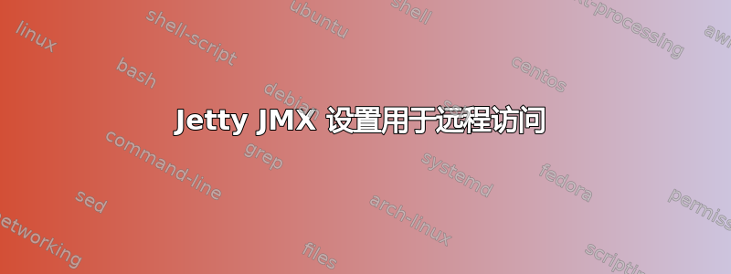 Jetty JMX 设置用于远程访问