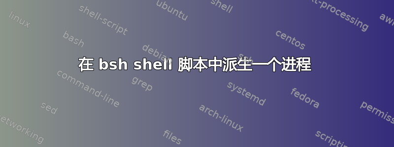 在 bsh shell 脚本中派生一个进程