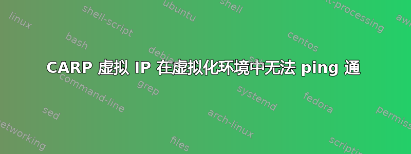 CARP 虚拟 IP 在虚拟化环境中无法 ping 通