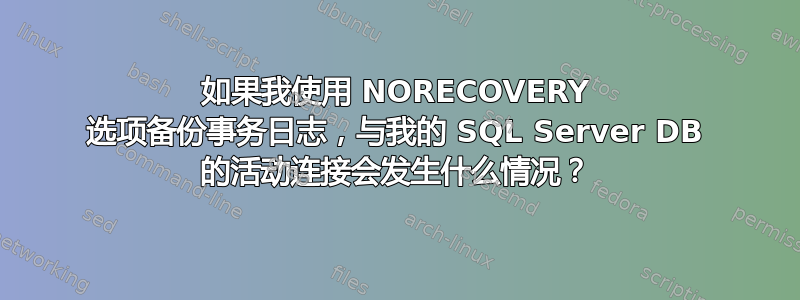 如果我使用 NORECOVERY 选项备份事务日志，与我的 SQL Server DB 的活动连接会发生什么情况？