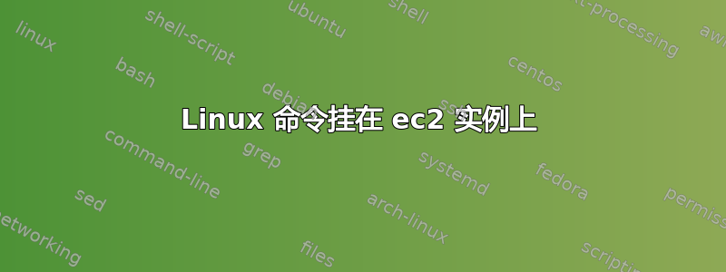 Linux 命令挂在 ec2 实例上