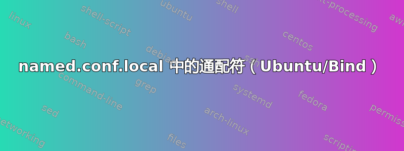 named.conf.local 中的通配符（Ubuntu/Bind）