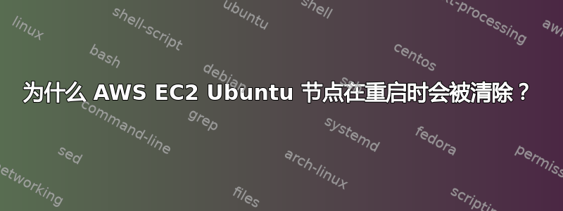 为什么 AWS EC2 Ubuntu 节点在重启时会被清除？