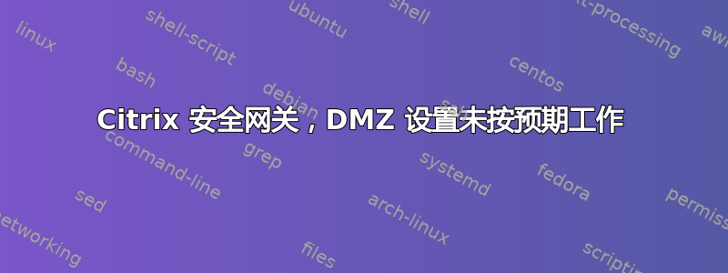 Citrix 安全网关，DMZ 设置未按预期工作