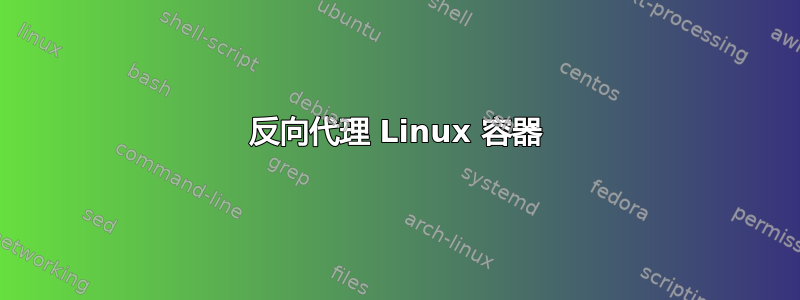 反向代理 Linux 容器